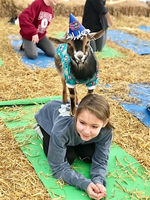 Goat Yoga Nashville- New Year’s Eve Class at Goat Yoga Nashville – Nolensville, TN