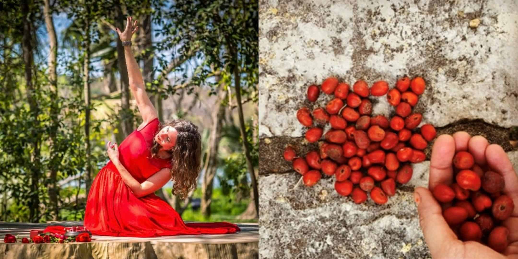 SacRED Seeds • Eternal Blooms // Semillas Sagradas • Flores Eternales at Austin Central Library, 2nd Floor Art Gallery – Austin, TX
