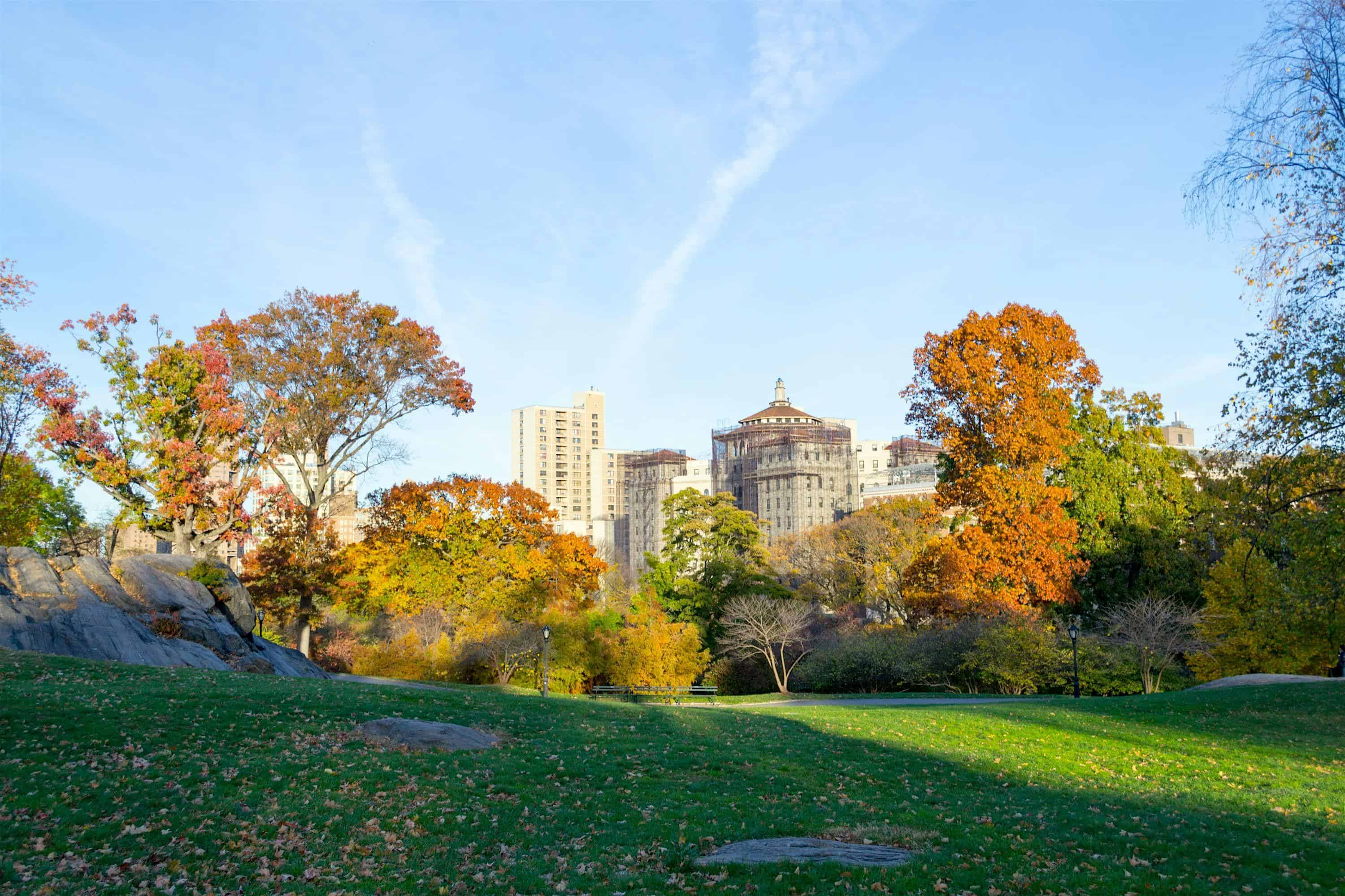 Awesome Scavenger Hunt – Mount Sinai‘s Spectacular Soiree at 15 N Moore St – New York, NY