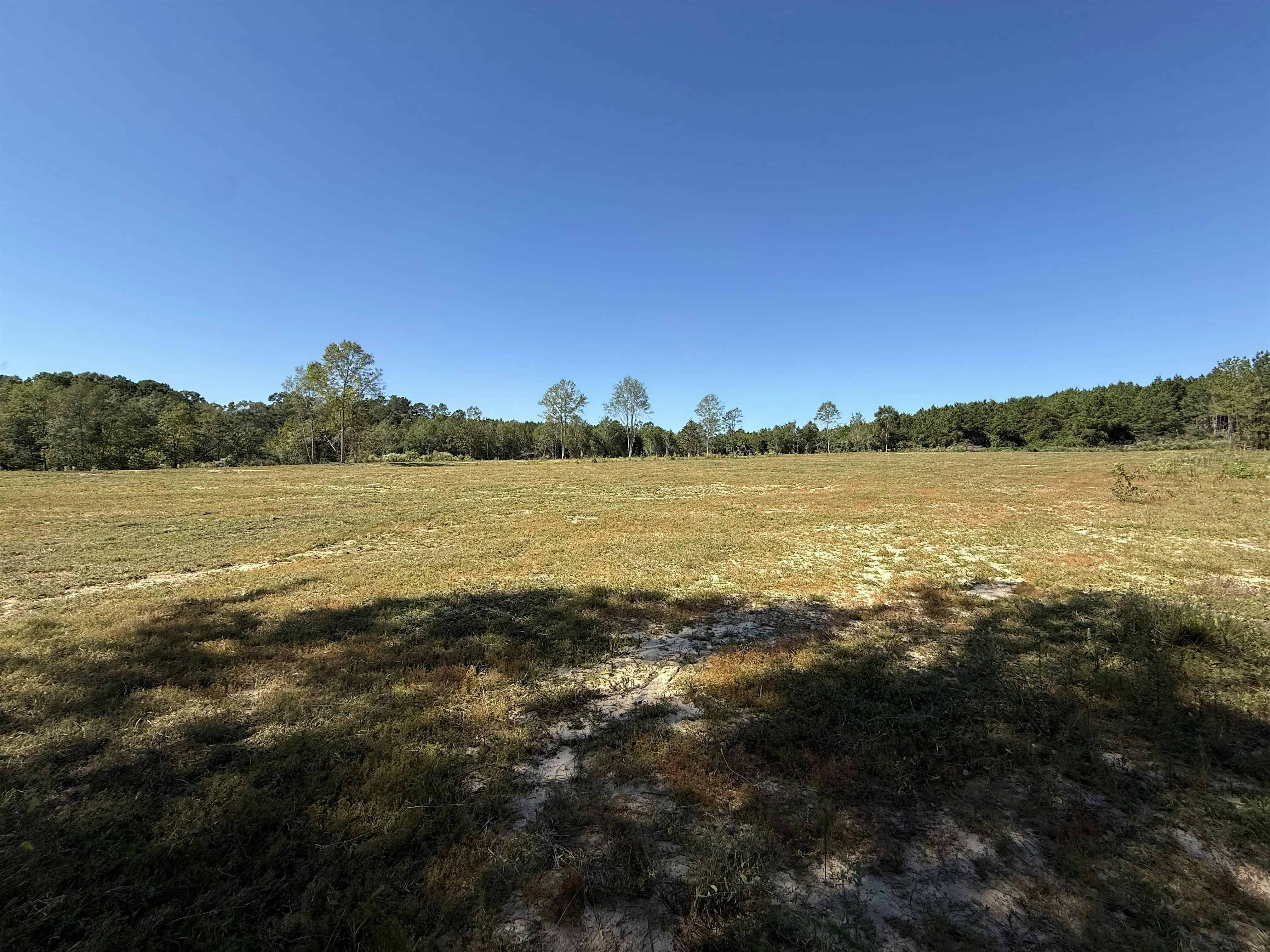 Bonfire edition at Hattiesburg – Hattiesburg, MS