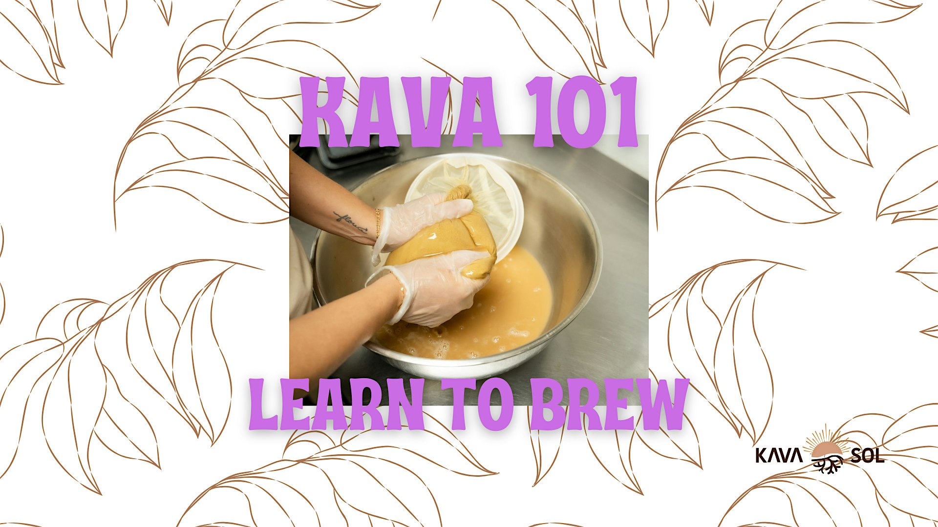 Kava 101: Learn to Brew + Share a Shell (Community Workshop) at Kava Sol – Willoughby, OH