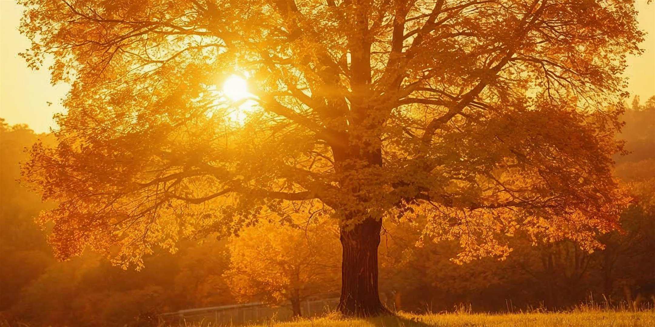 Sacred Woman Collective Sunset Circle with Melissa Potter at Private Residence – Portland, OR