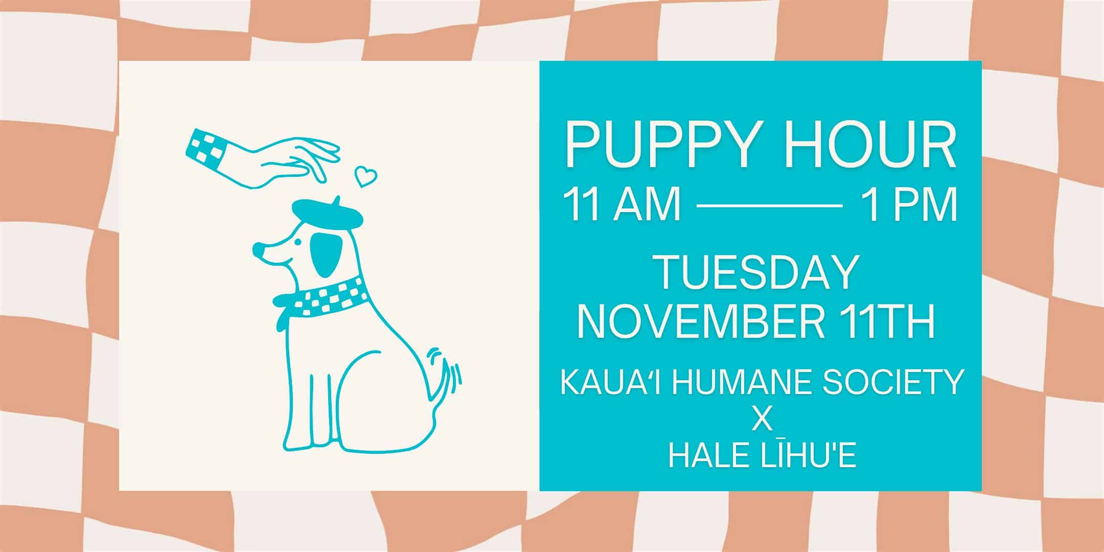 Puppy Hour at Hale Lihue at 4286 Rice St – Lihue, HI
