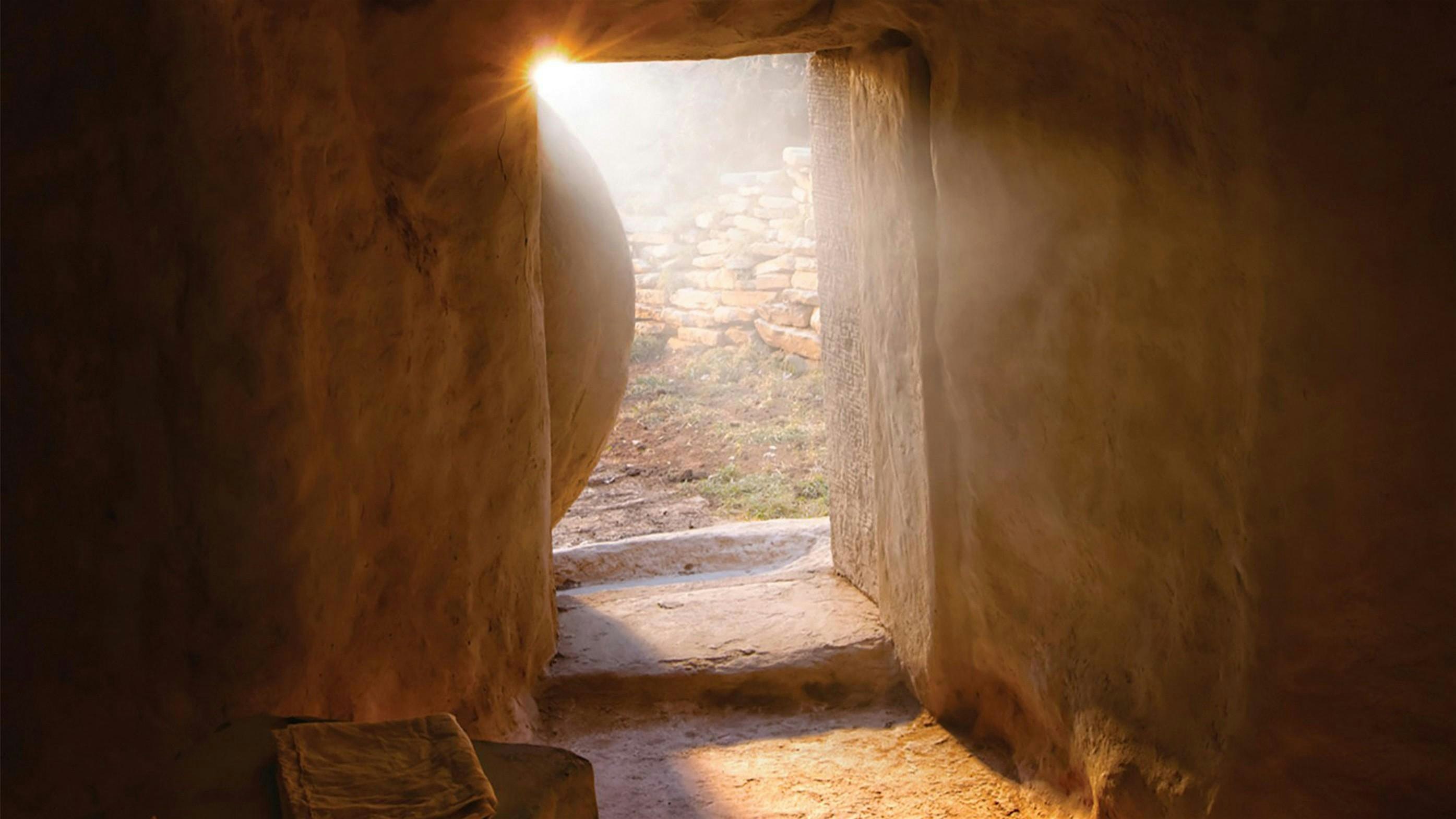 Lions Park Ward – FamilySearch Center at Logan Utah FamilySearch Center (East Entrance) – North Logan, UT
