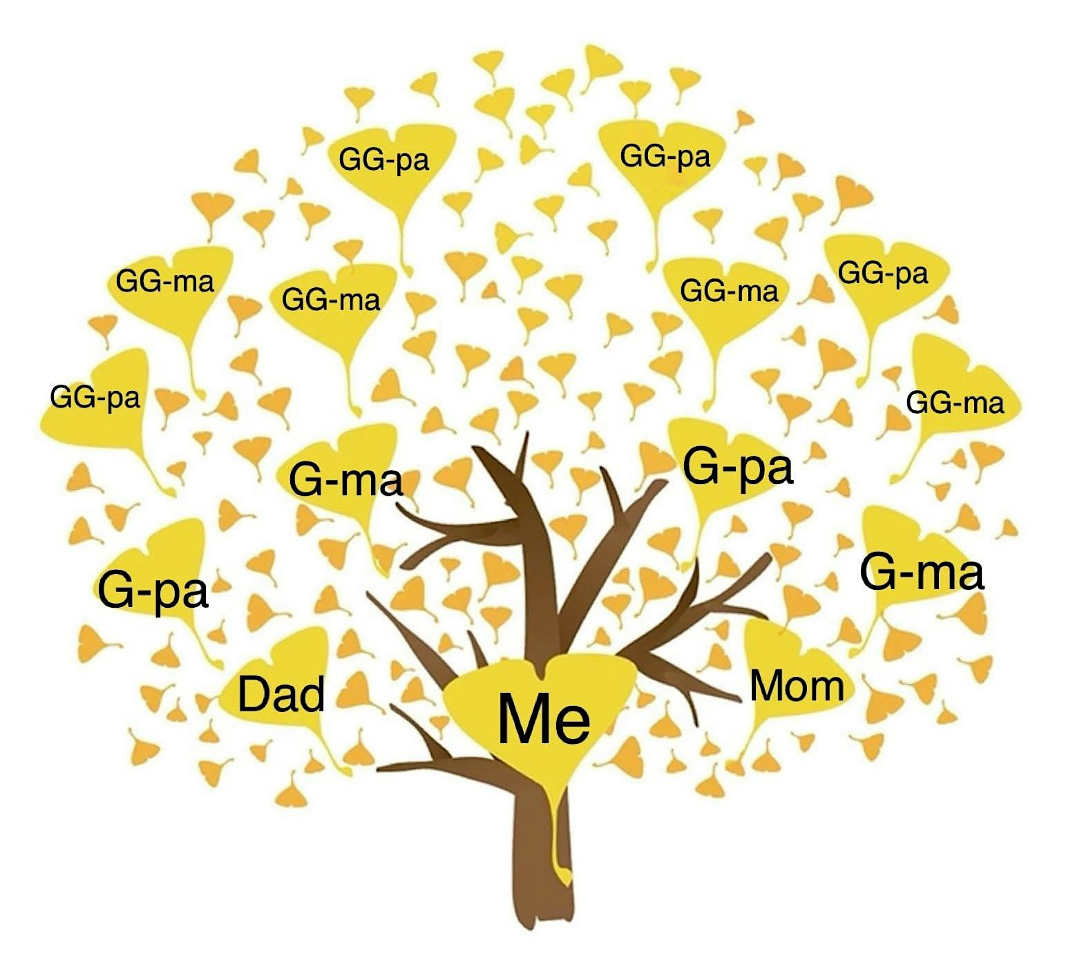 Family History Assistance Hours at The Church of Jesus Christ of Latter-day Saints – St Joseph, MO