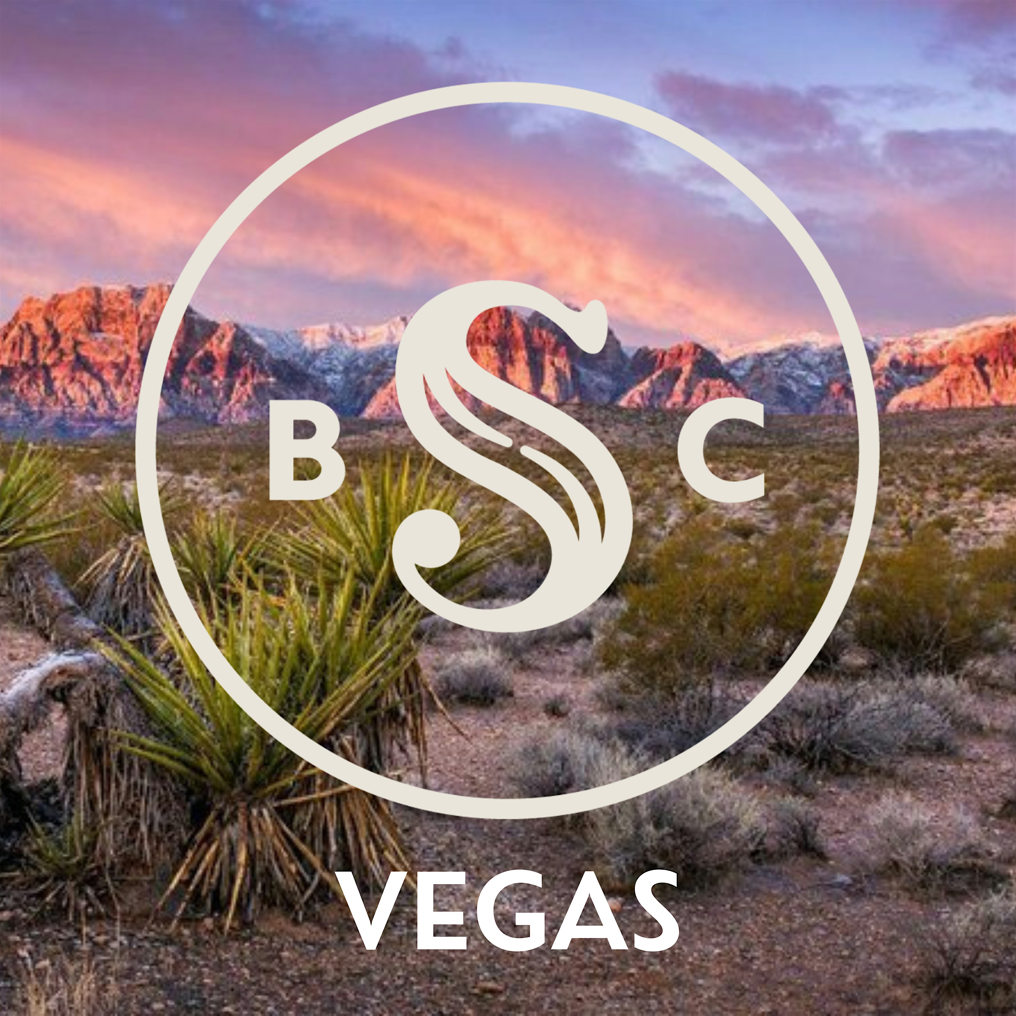 Silent Book Club Introvert Happy Hour at Velvet Vine Wine – Las Vegas, NV