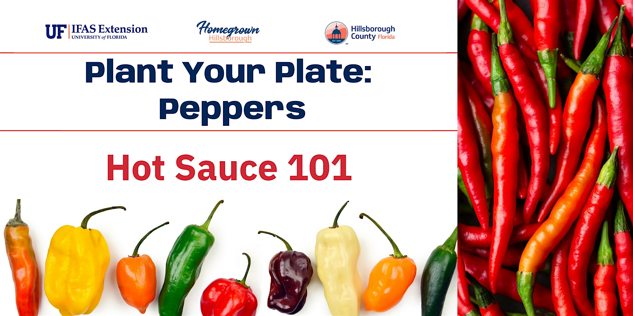 Plant Your Plate: Peppers Hot Sauce 101 at UF/IFAS Extension Hillsborough County – Seffner, FL