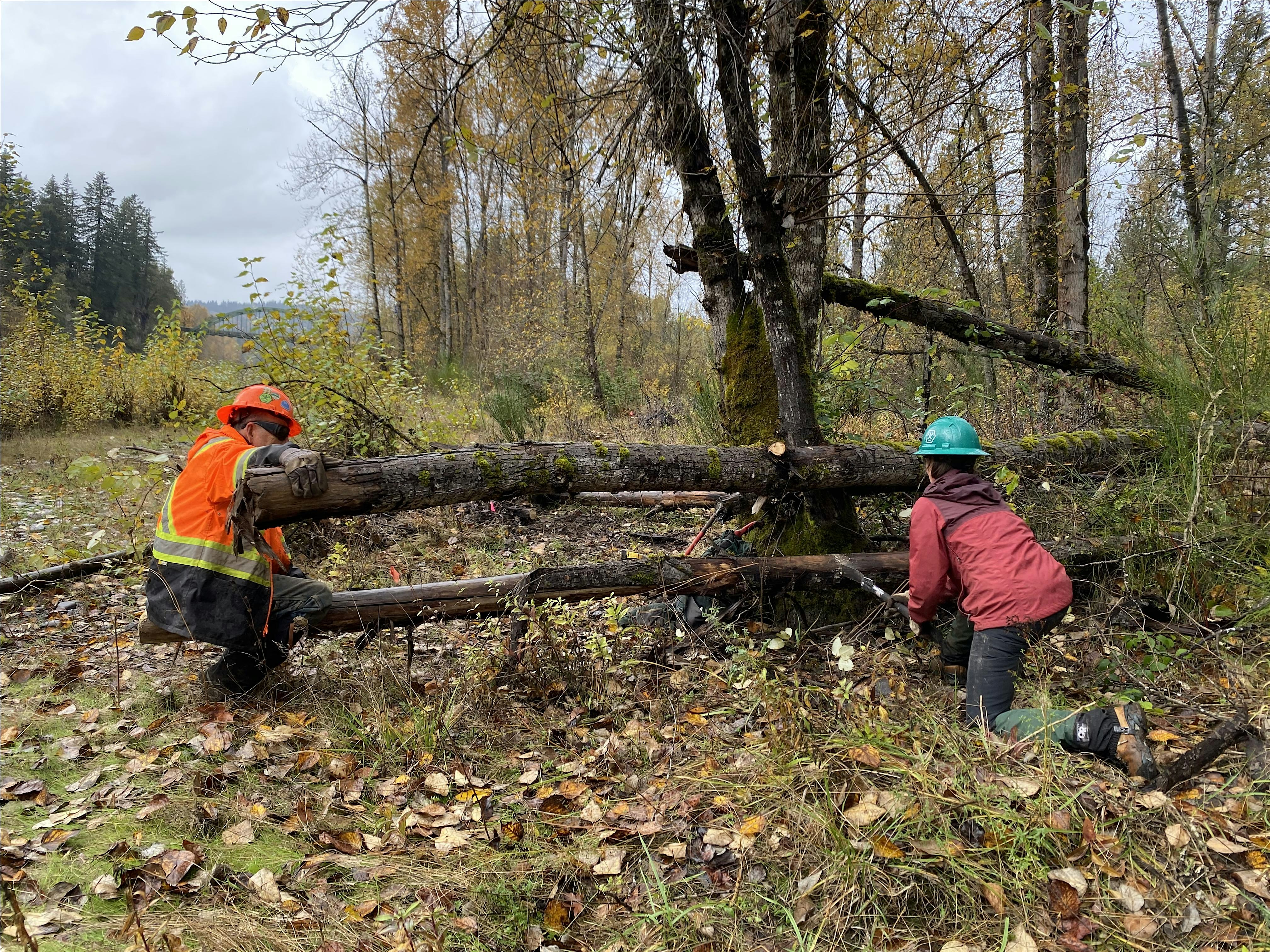 Barton Park Trail Party – PDX at Barton Park – Boring, OR
