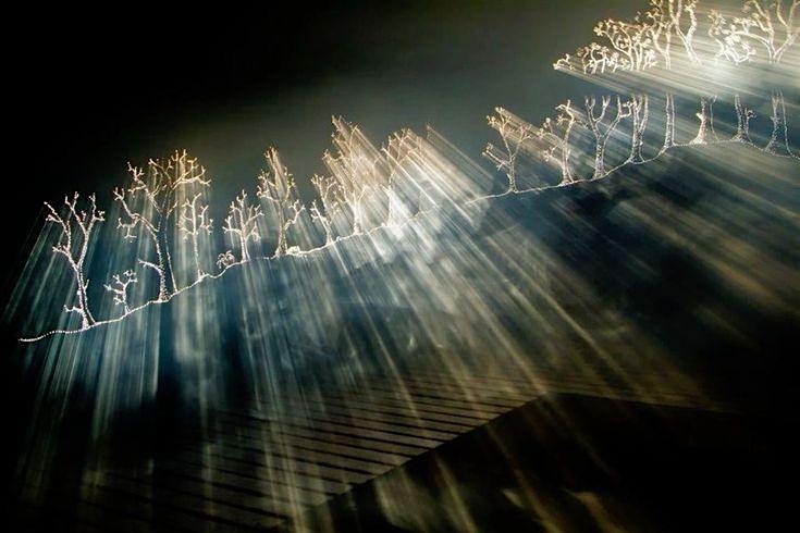 Climate Change Theatre Action at Brower Center – Berkeley, CA