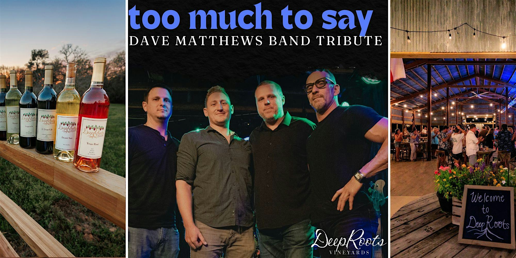 DAVE MATTHEWS TRIBUTE by Too Much To Say | TX wine & craft beer at DeepRoots Vineyards – Plantersville, TX