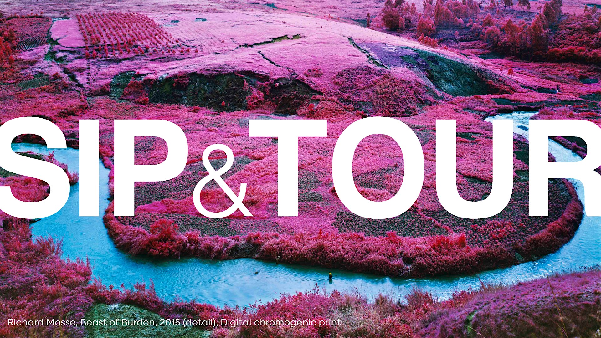 Sip and Tour at 21c Museum Hotel Louisville – Louisville, KY