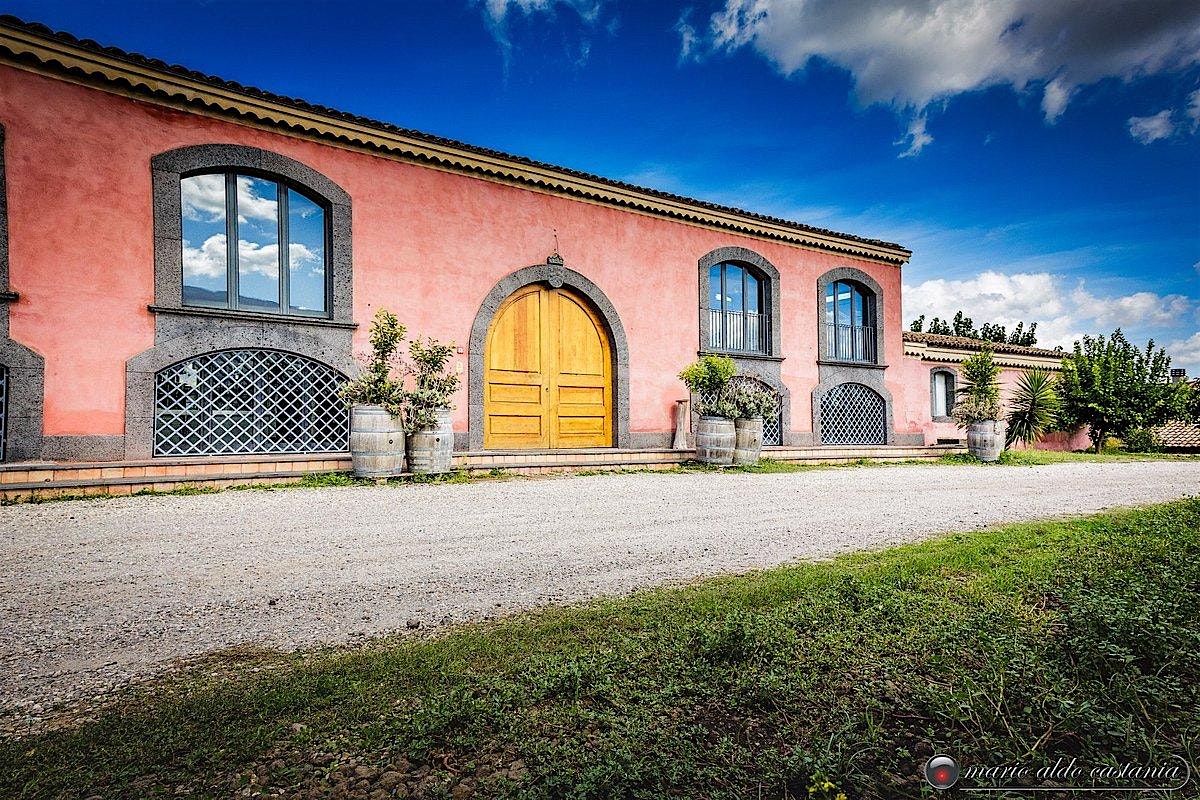 The Wines of Tenuta Terre Nere at To be disclosed upon ticket purchase – Wrentham, MA