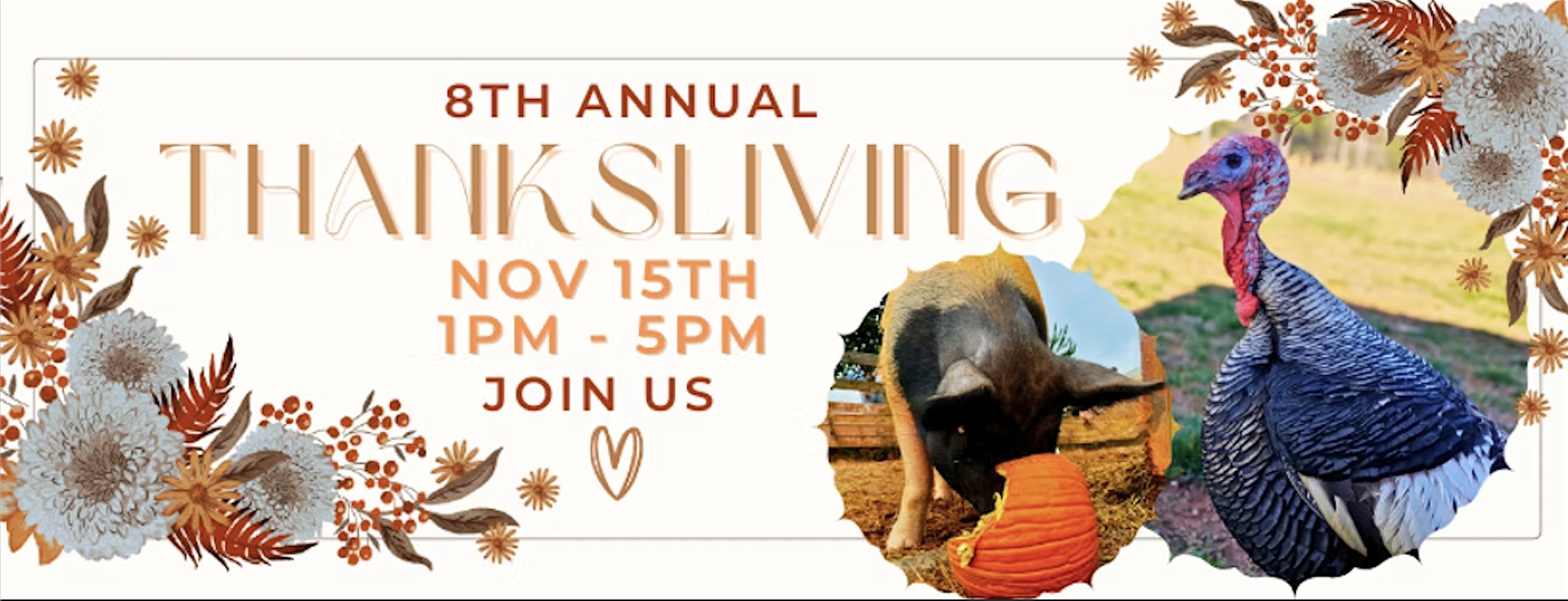 FCFS ThanksLiving 2025 at Full Circle Farm Sanctuary – Warm Springs, GA