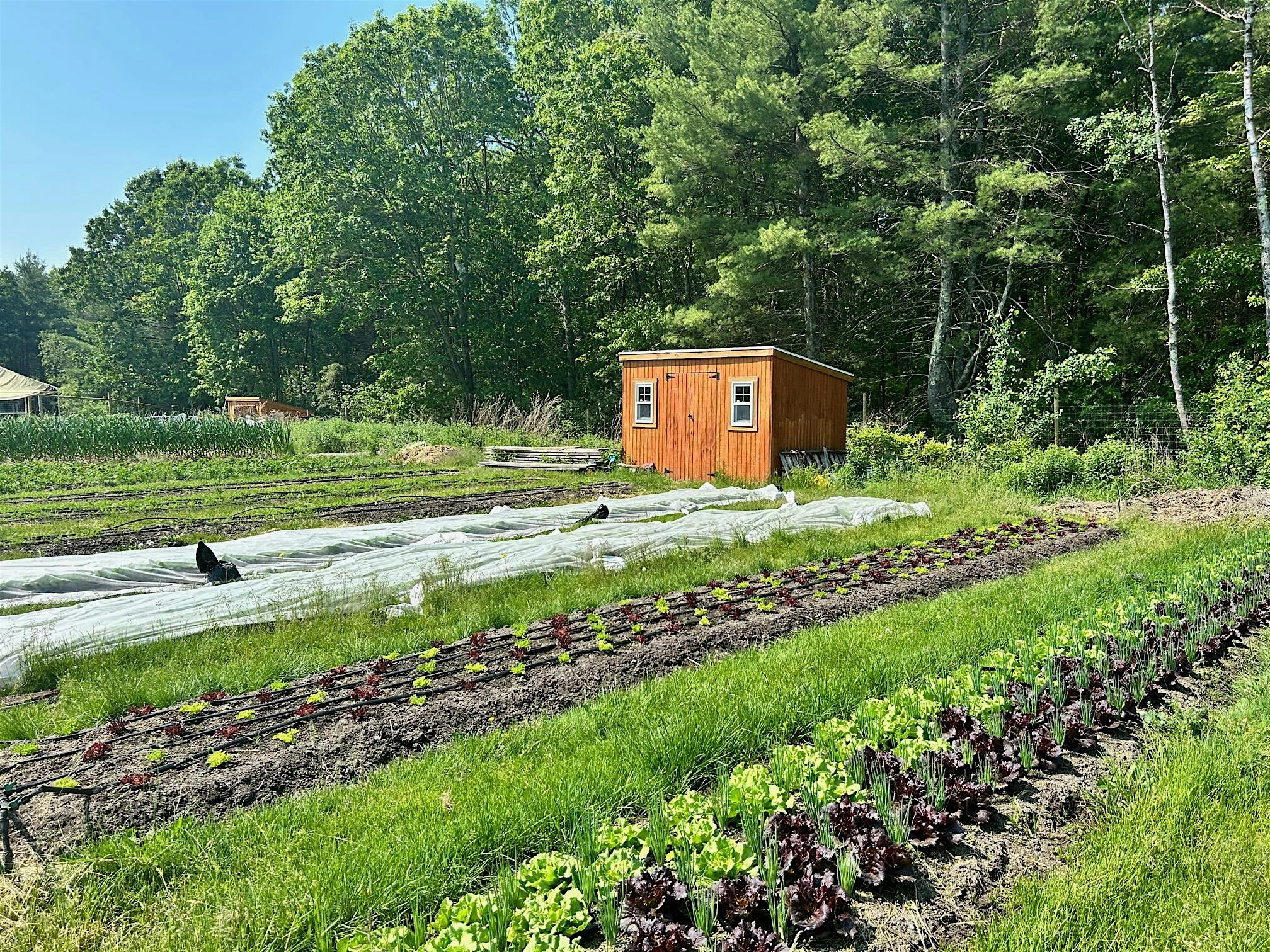 LETT-UCE PARTY at Needham Village Club – Needham, MA