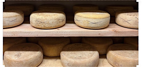 Brave the Caves: Cheese Cave Tour—$75 at Formaggio Kitchen – Cambridge – Cambridge, MA