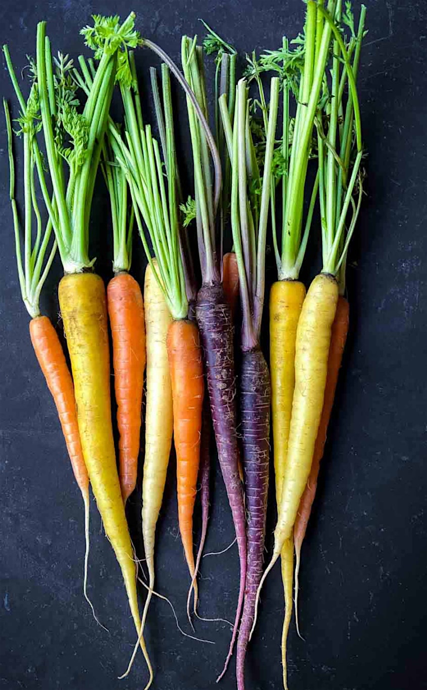 Harvest Feast: An Indigenous Culinary Experience at The Museum of Kansas City – Kansas City, MO