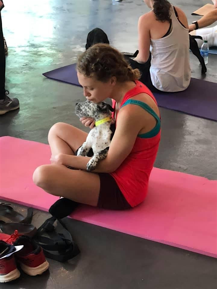 Doggy Noses & Yoga Poses at Develop Strength at Develop Strength – Stanhope, NJ