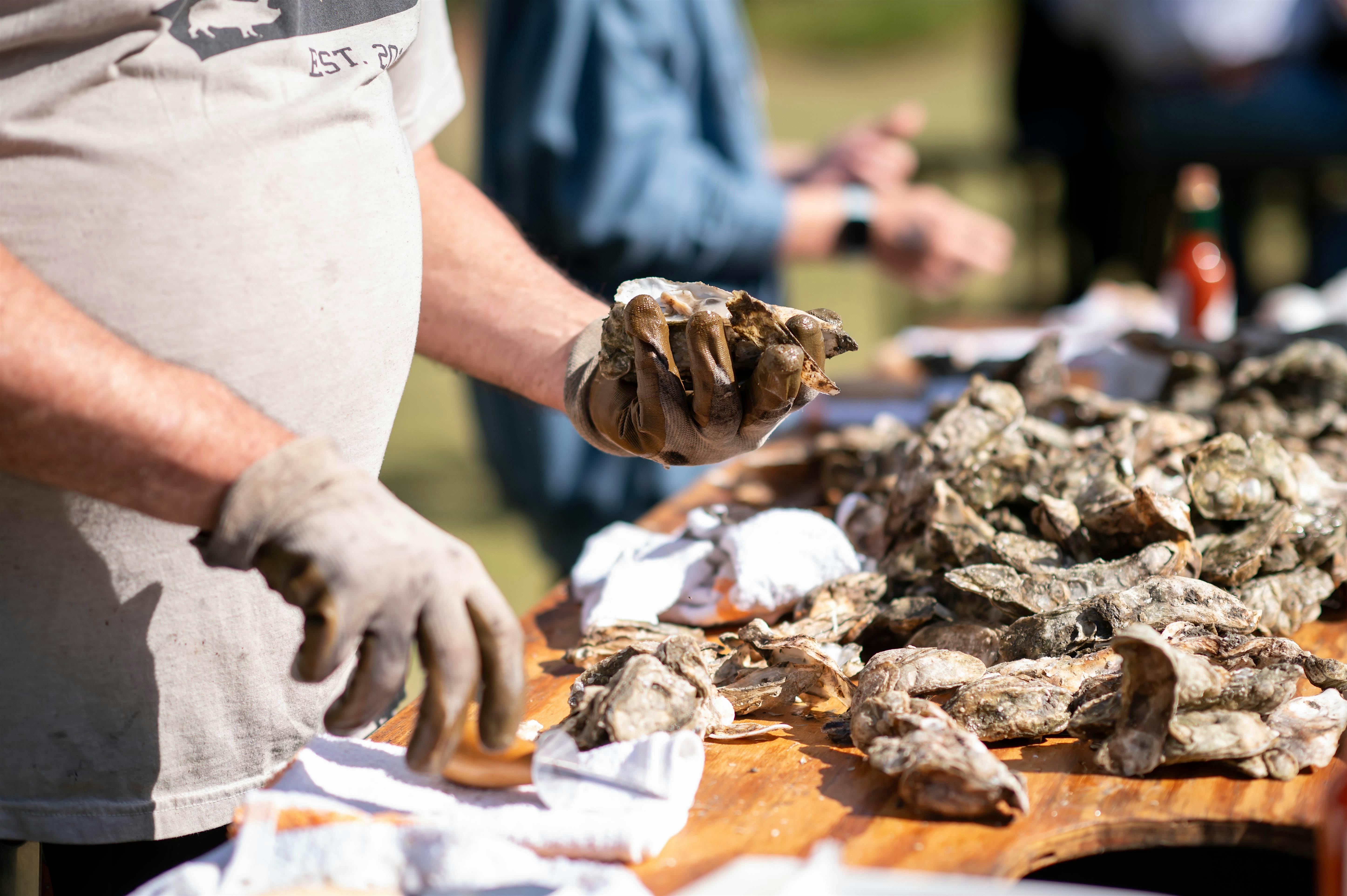 2025 WaterFest at Waterfront Park – Charleston, SC