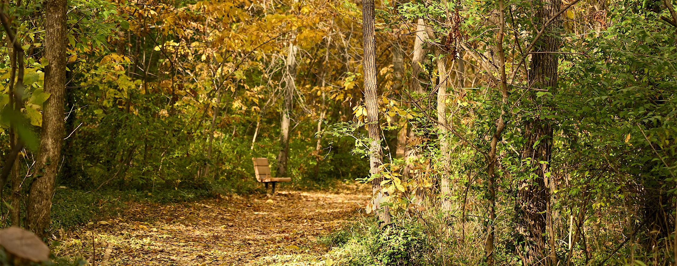 Burgoo and Trivia at the Springs at McConnell Springs Park – Lexington, KY