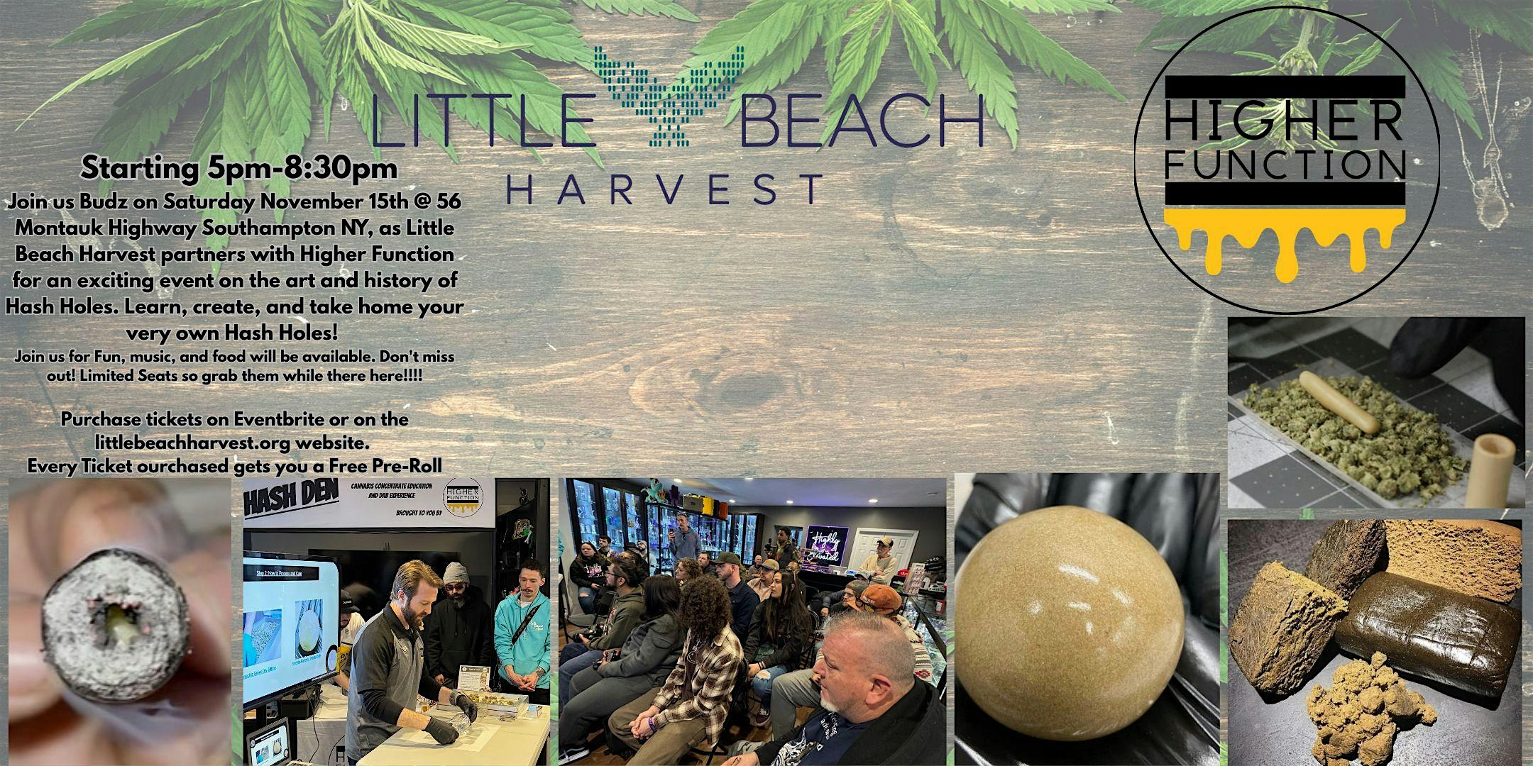 The History of Hash Holes at Little Beach Harvest Dispensary – Southampton, NY