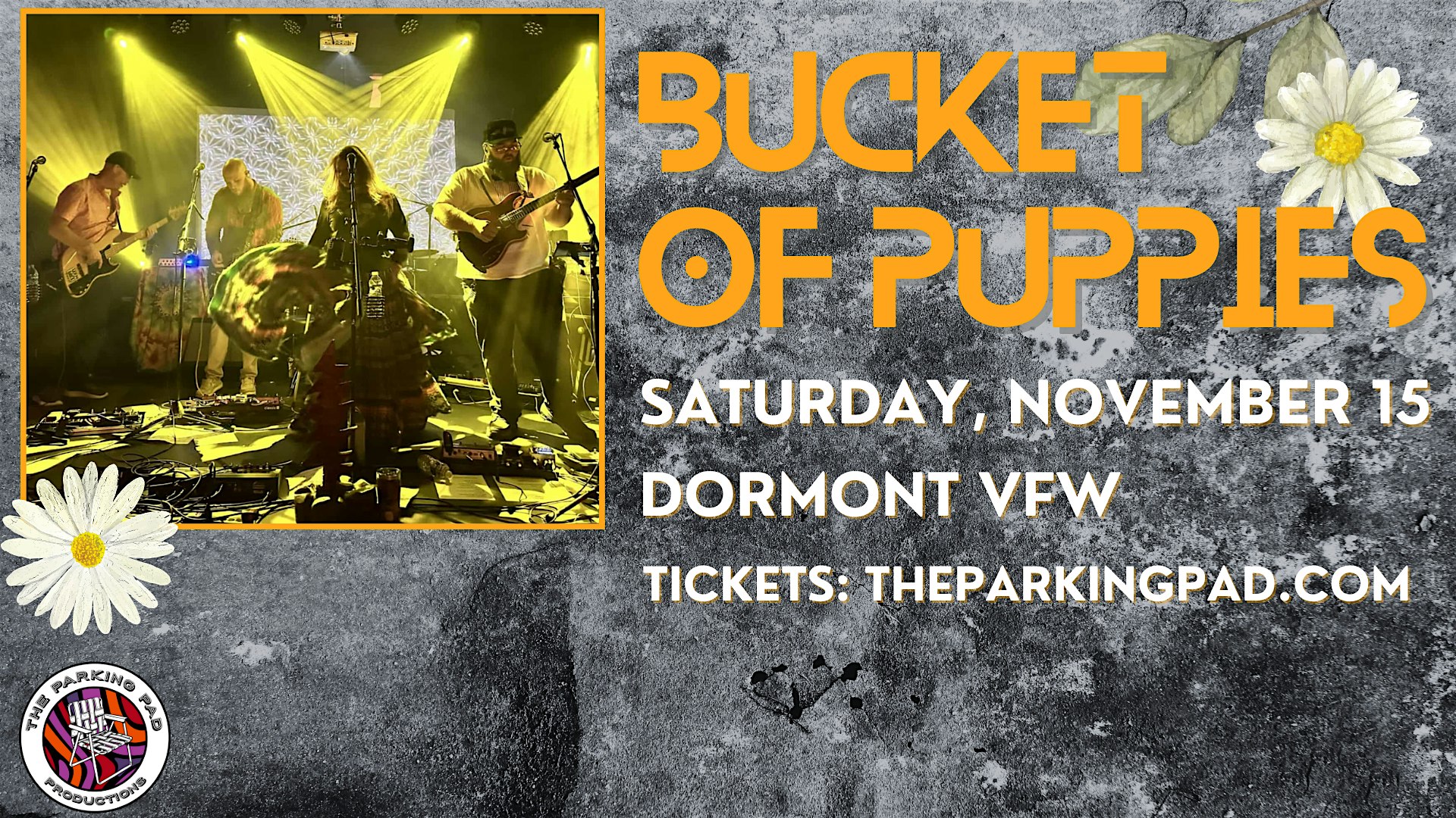 Bucket of Puppies at McCormick Dorman VFW Post 694 – Pittsburgh, PA