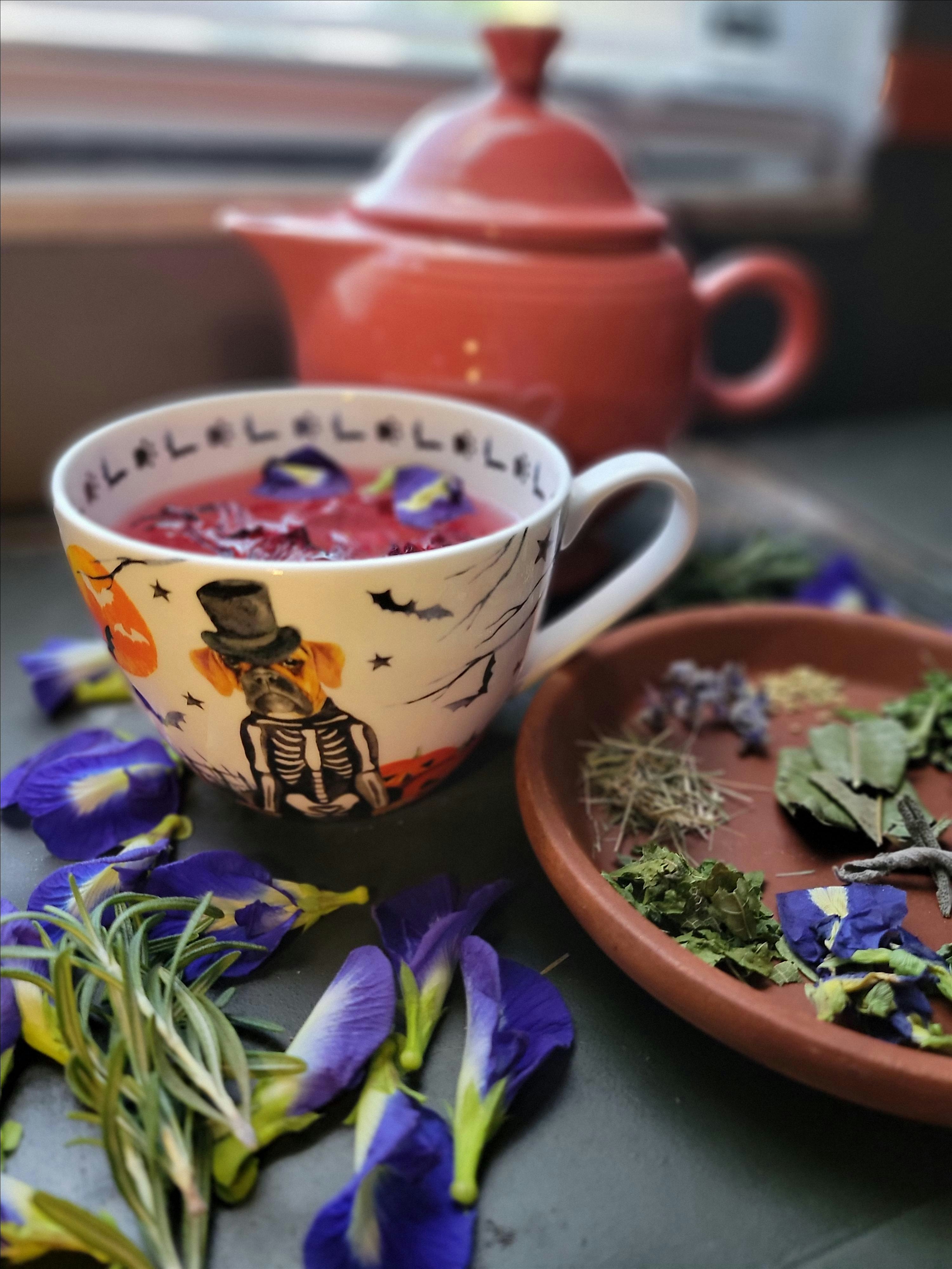 Garden to Cup: Homegrown Herbal Teas Workshop at 4207 W Oklahoma Ave – Tampa, FL