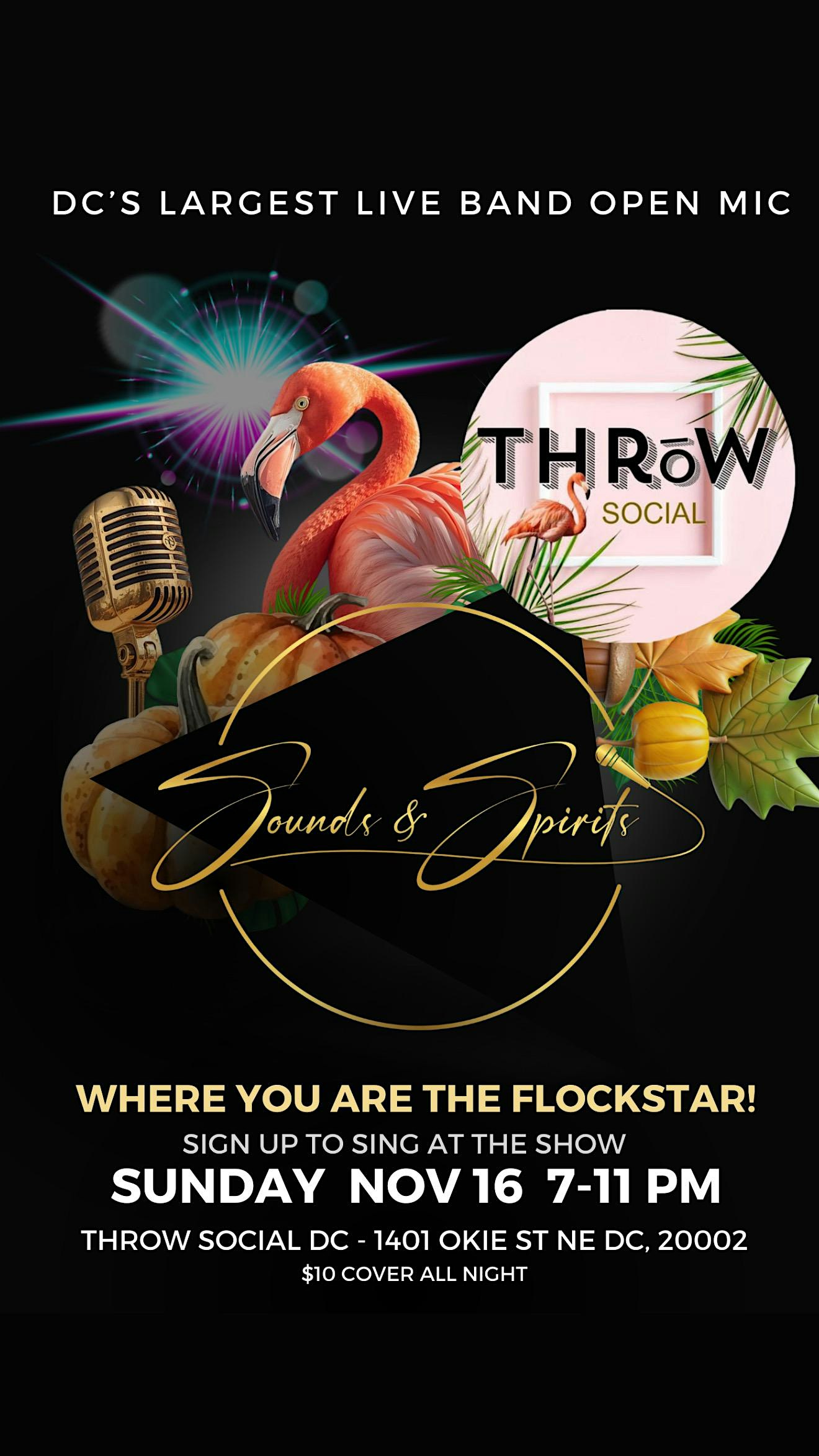 Sounds & Spirits November 2025 – Live Band Open Mic at THRōW Social DC – Washington, DC