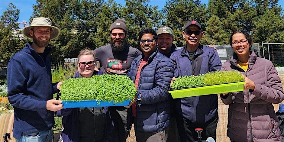 Grow your own Microgreens at Healthspan Fit – San Jose, CA