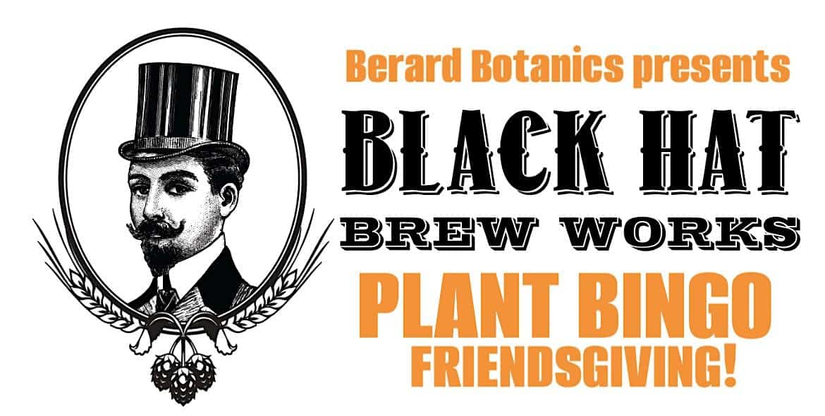 PLANT BINGO FRIENDSGIVING! at 25 Scotland Blvd – Bridgewater, MA