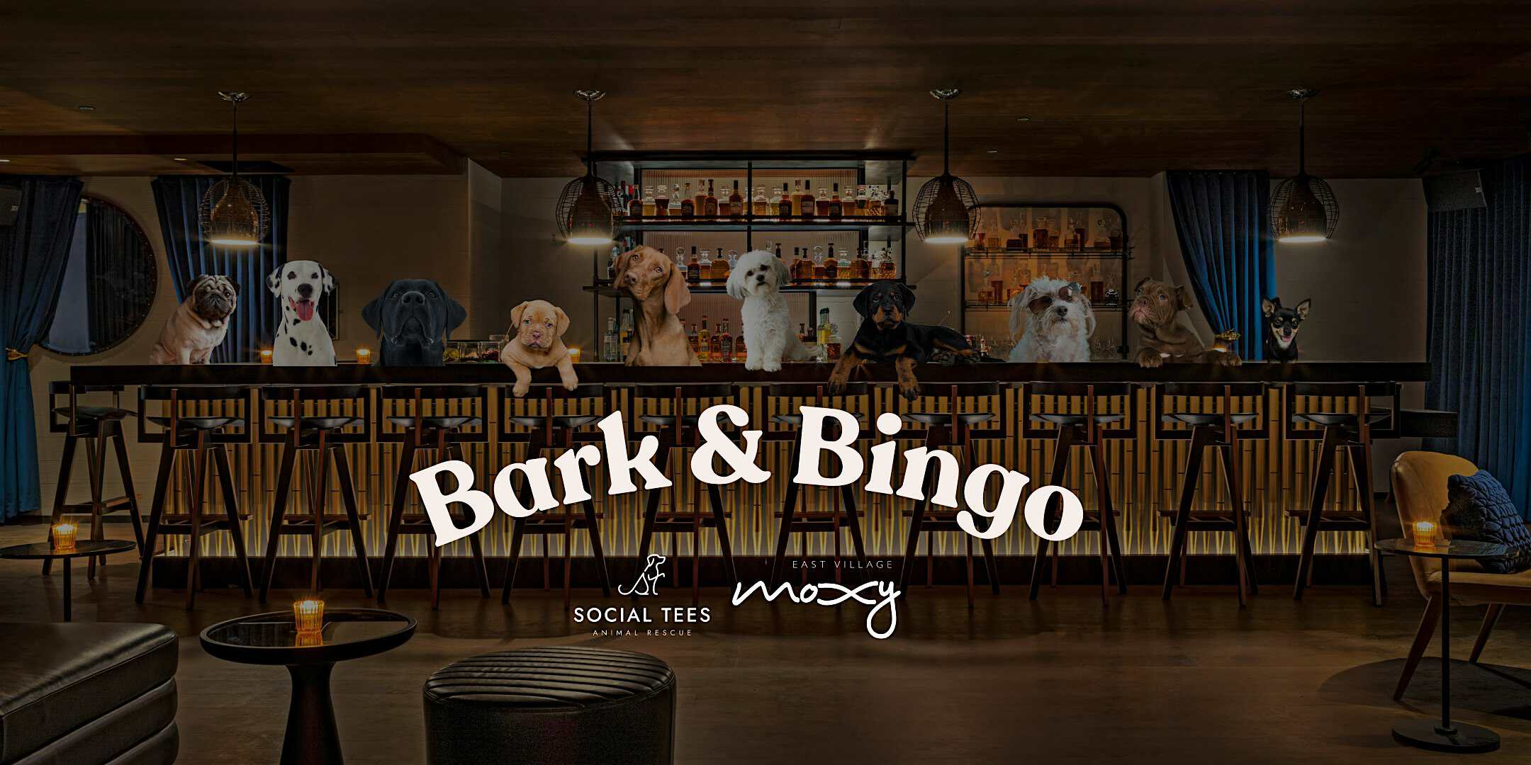Bark & Bingo! Support Dogs in Need with Social Tees Animal Rescue at Moxy East Village – New York, NY