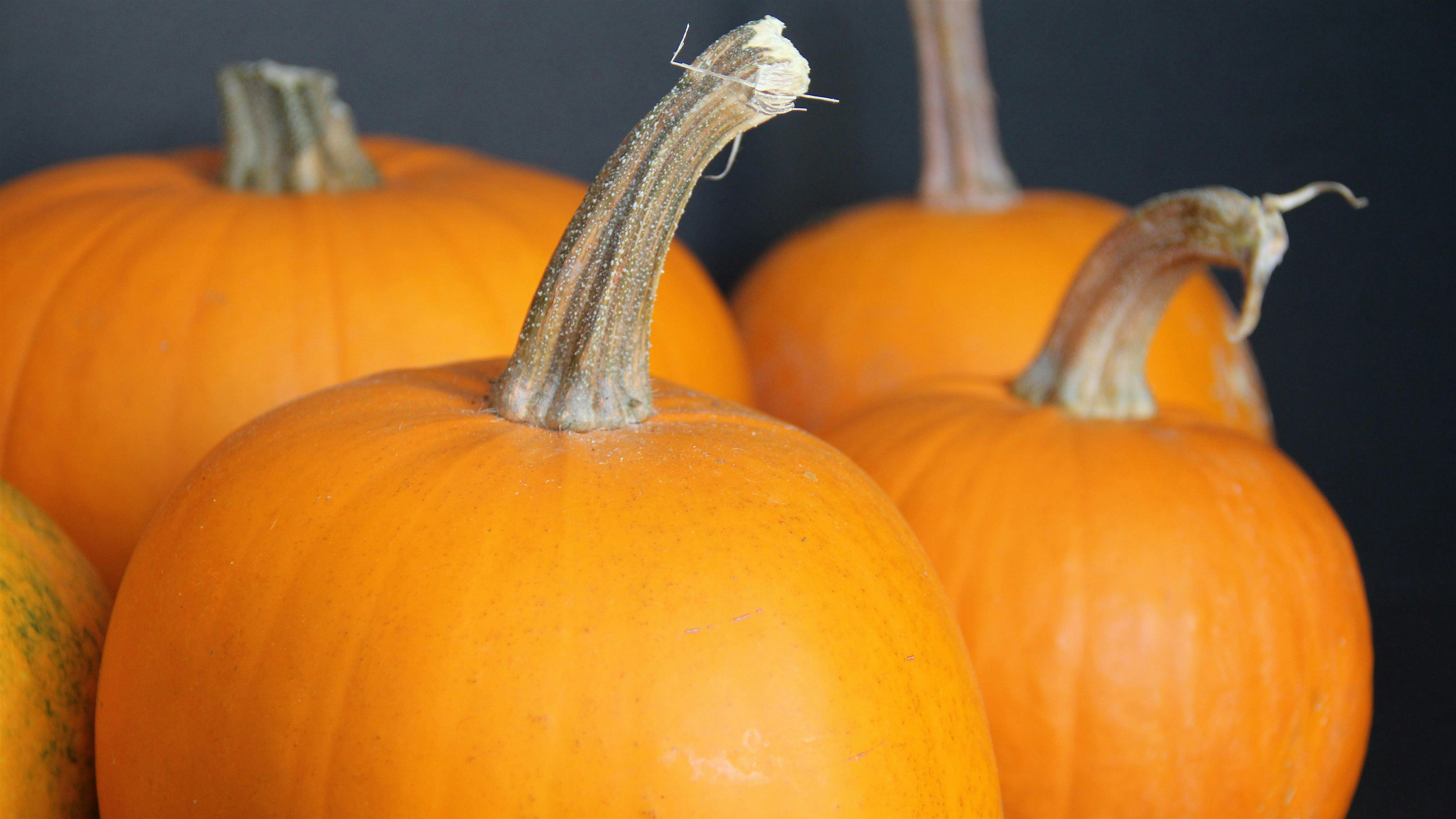 Women’s Friendsgiving Activity – RC9 at The Church of Jesus Christ of Latter-day Saints – Herriman, UT