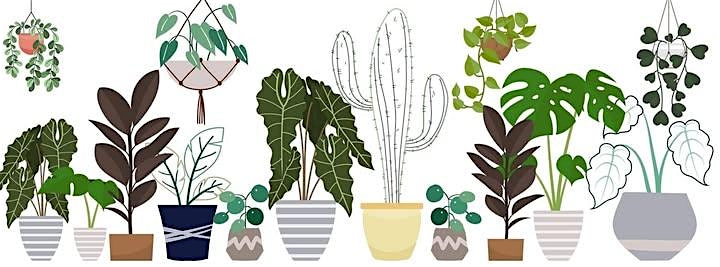 Plant Swap at Bella Terra Bedford – Bedford, PA