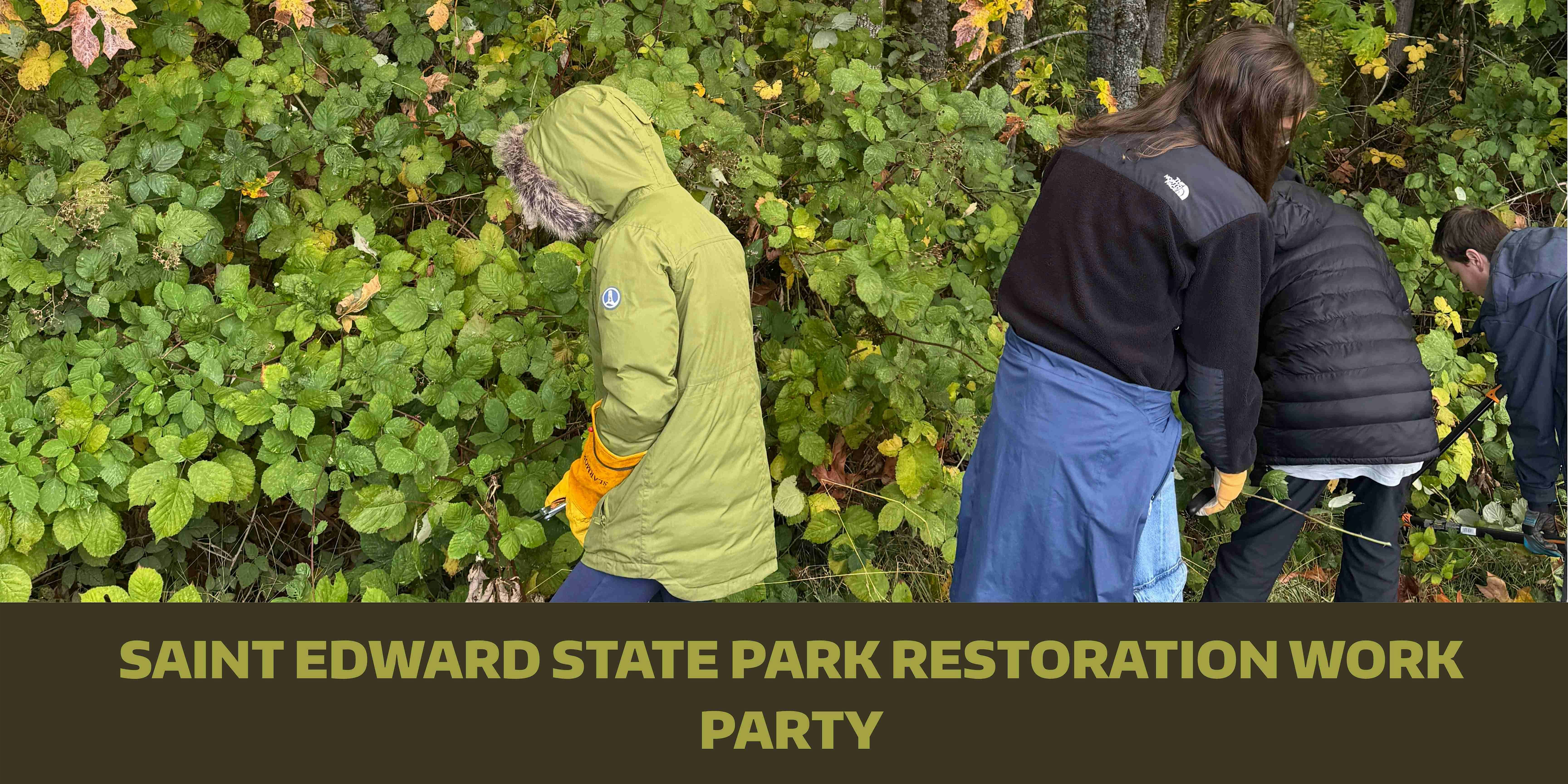 Saint Edward State Park Restoration Work Party: November at Environmental Education and Research Center (EERC) St. Edward State Park Gym Annex – Kenmore, WA