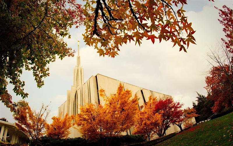 Stake Fill the Temple Day at Seattle Washington Temple – Bellevue, WA