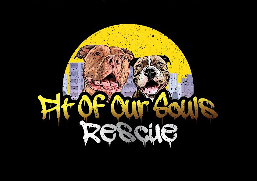 Pit Of Our Souls Rescue Presents Comedy Unleashed Fundraiser at The Loft 525 – Bellmore, NY