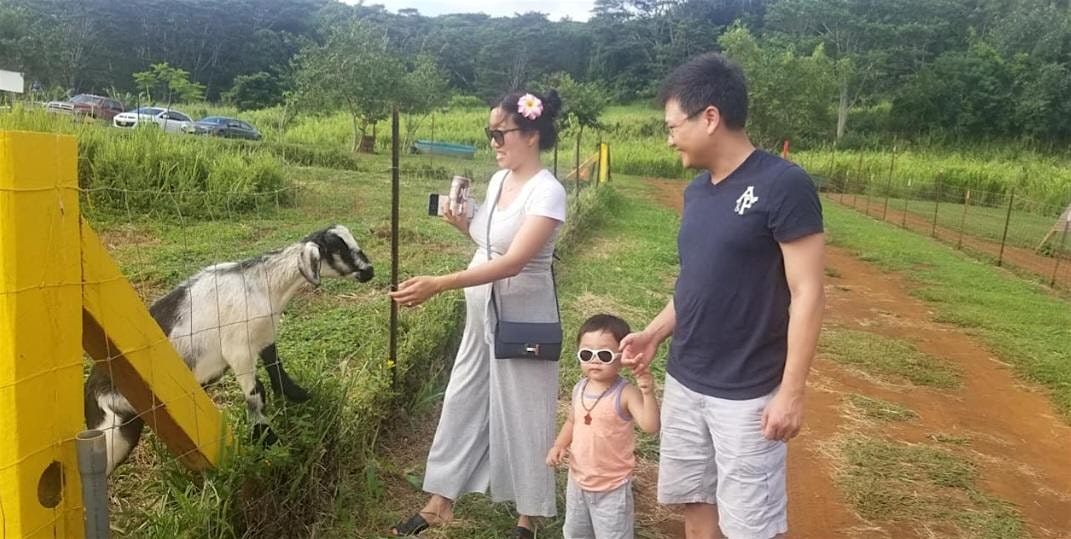 Hau’oli la Ho’omaka’i at Kauai Animal Education Farm (KAEF) – Kapaʻa, HI