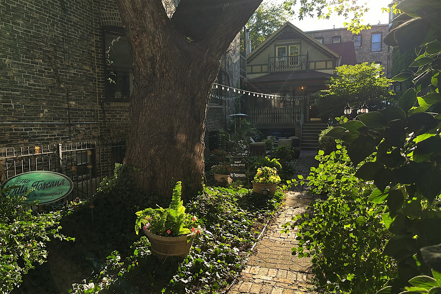 Mental Health Dinner Party: Thanksgiving Potluck (Chicago) at 3447 N Halsted St – Chicago, IL