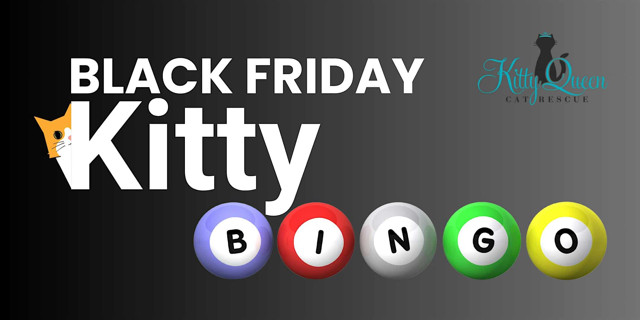 Black Friday Kitty Bingo at 4552 McKnight Rd – Pittsburgh, PA