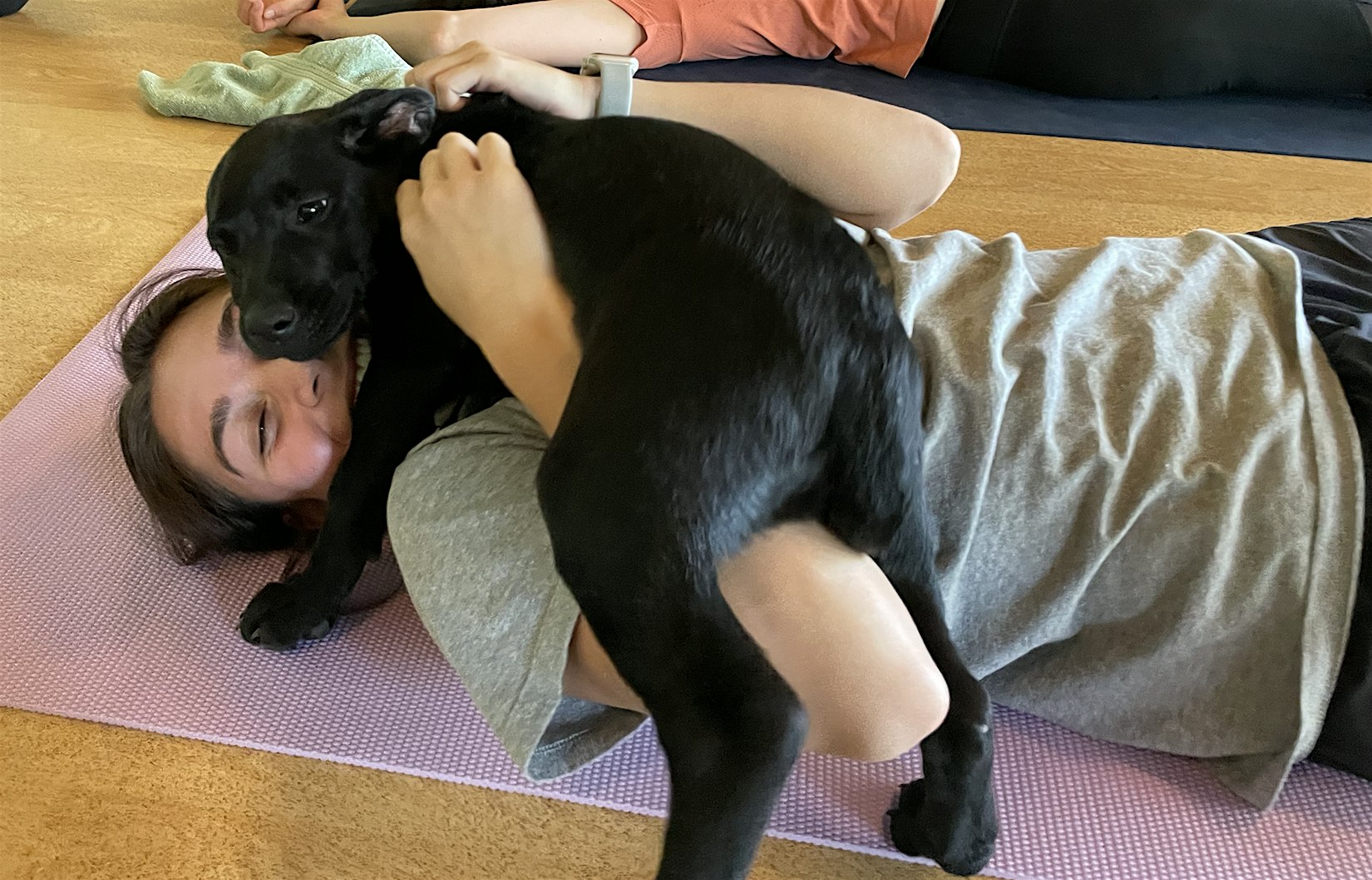 DNYP – Pups and Poses at GlassDoor Fitness! at GlassDoor Fitness – Long Valley, NJ