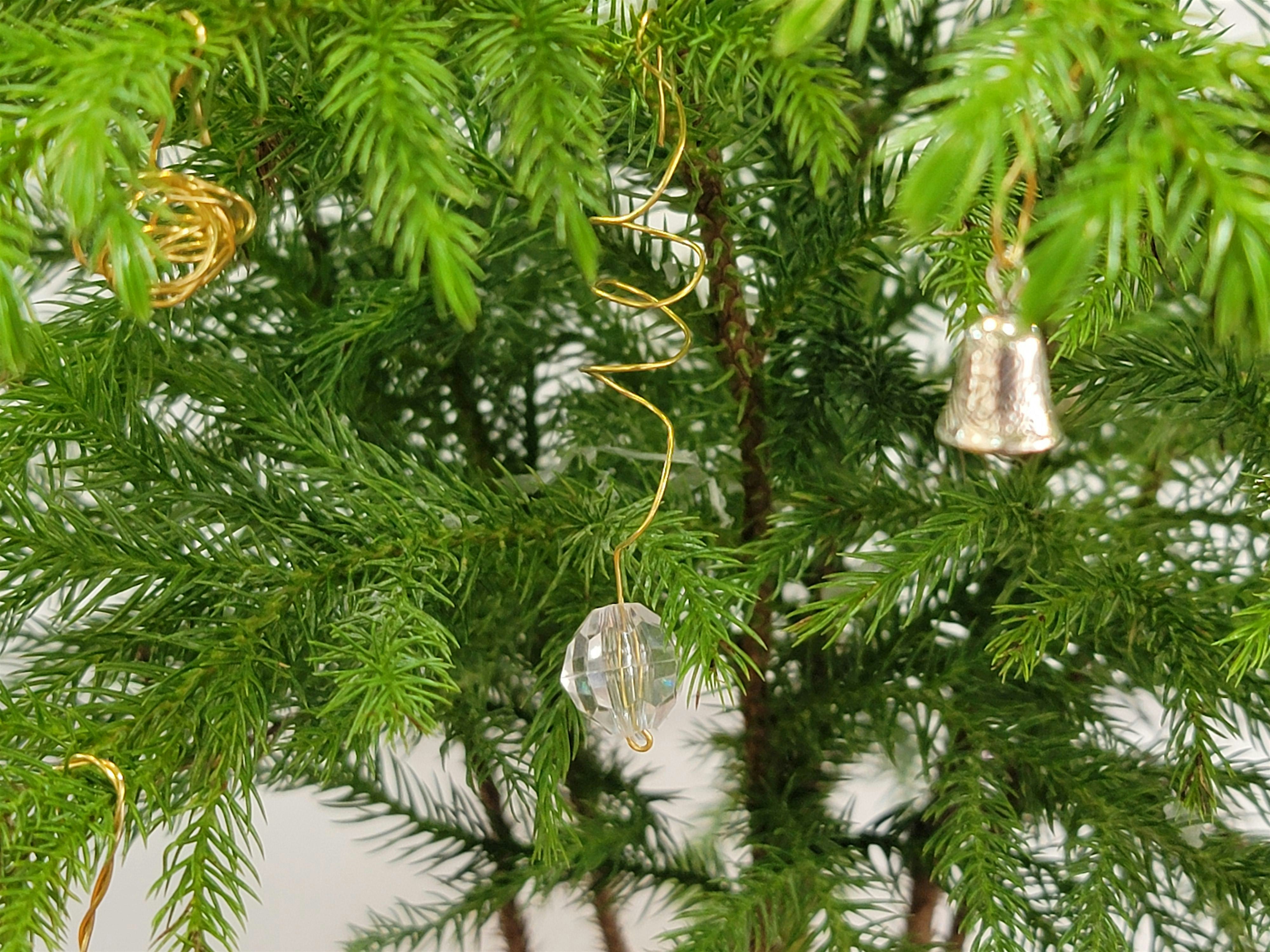 Sip & Spruce: A Holiday Table Tree Workshop at Lost Trail Winery at Lost Trail Winery and Vineyard – Canton, OH