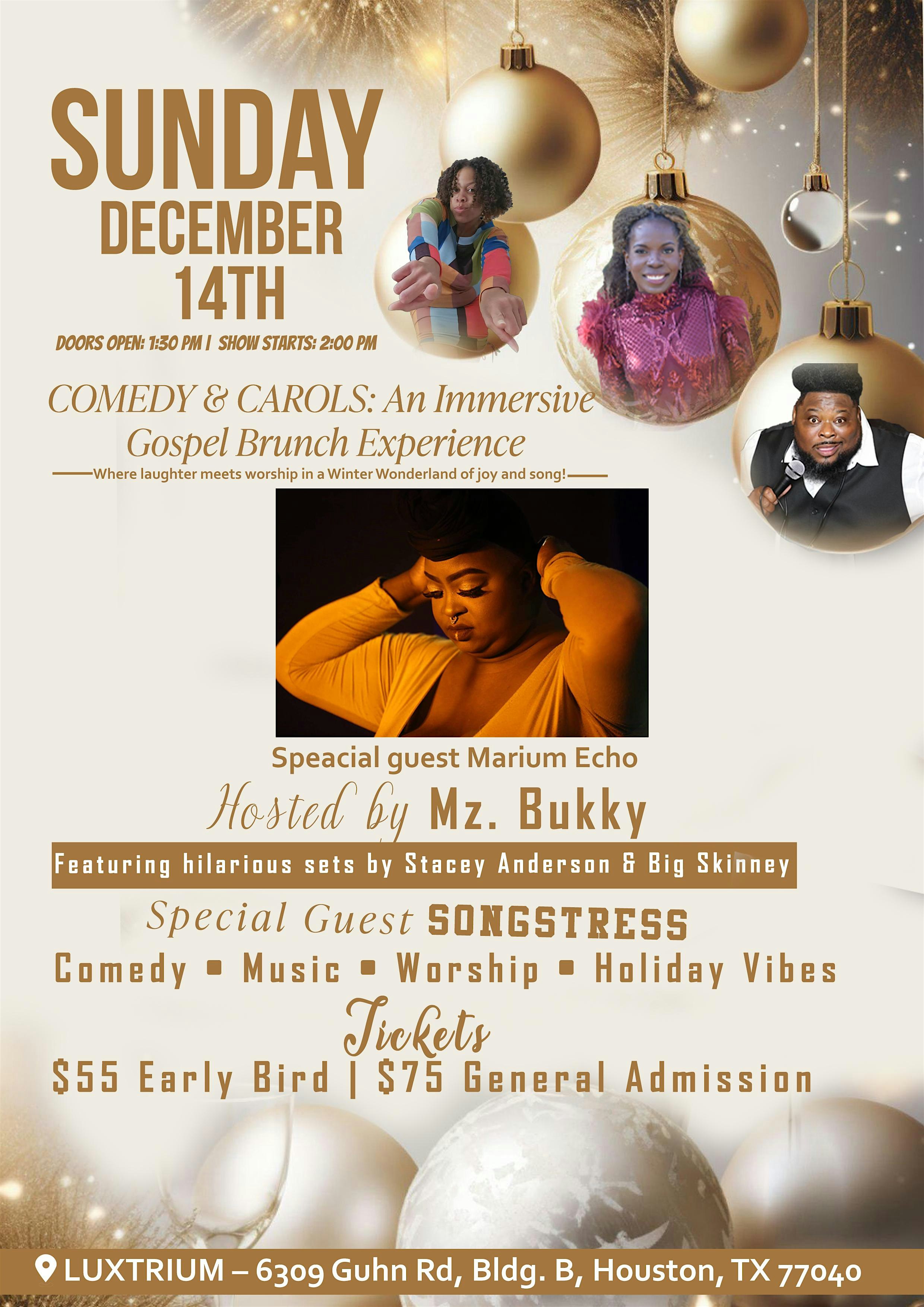 Comedy & Carol Immersive Brunch with Marium Echo at Luxtrium Immersive Performance & Event Venue – Houston, TX