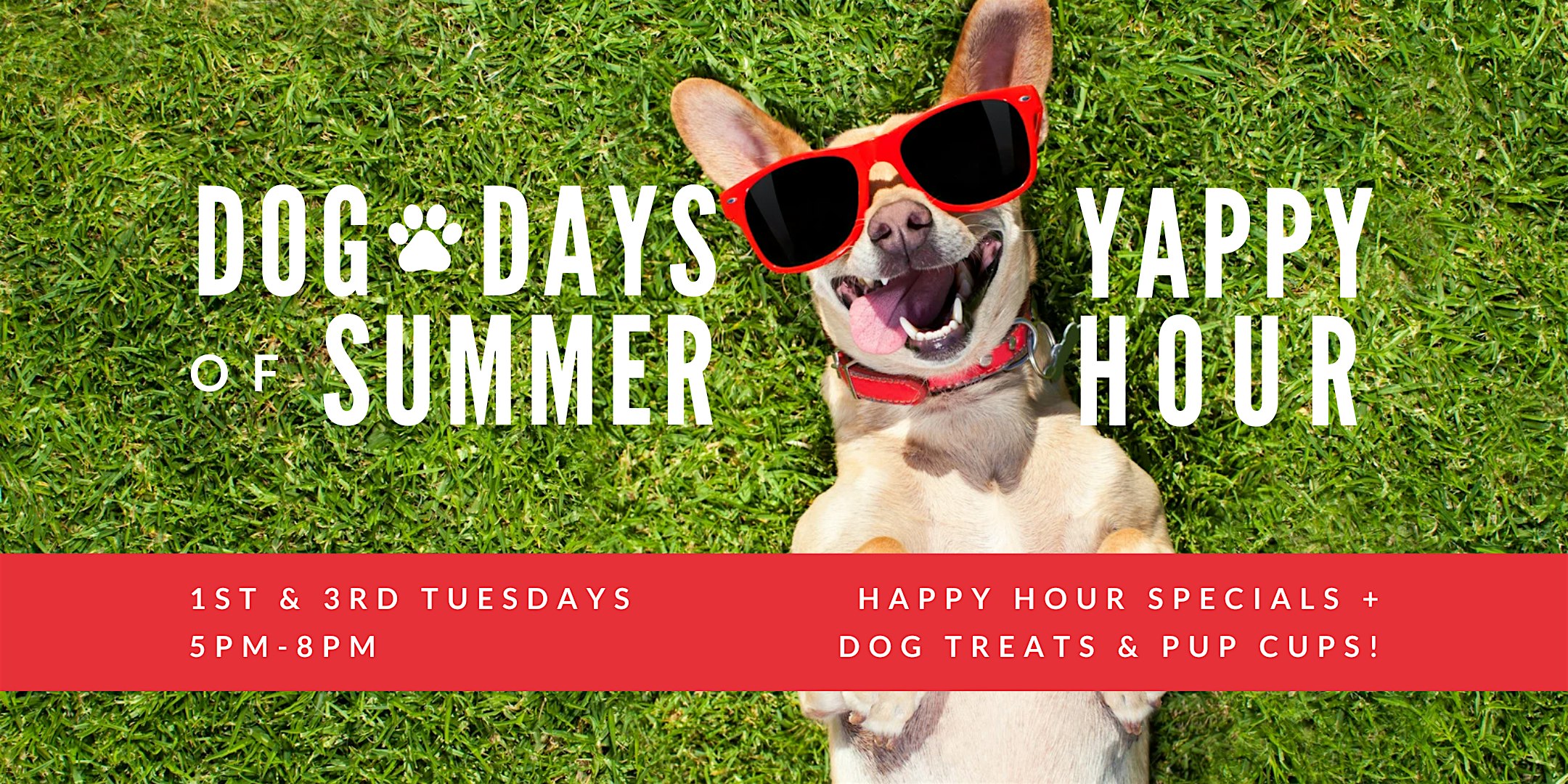 Yappy Hour at The Coupe – Washington, DC