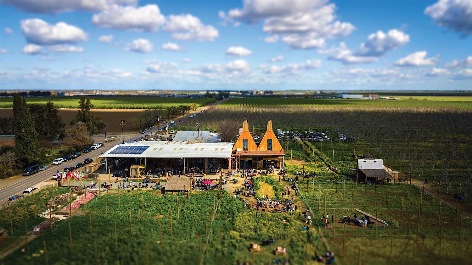 Davis Class of 2015 10-Year Reunion at Ruhstaller Farm – Dixon, CA