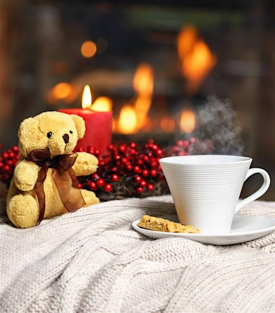 Teddy Bear Holiday Tea at Ovide at Ovide – Miramar Beach, FL