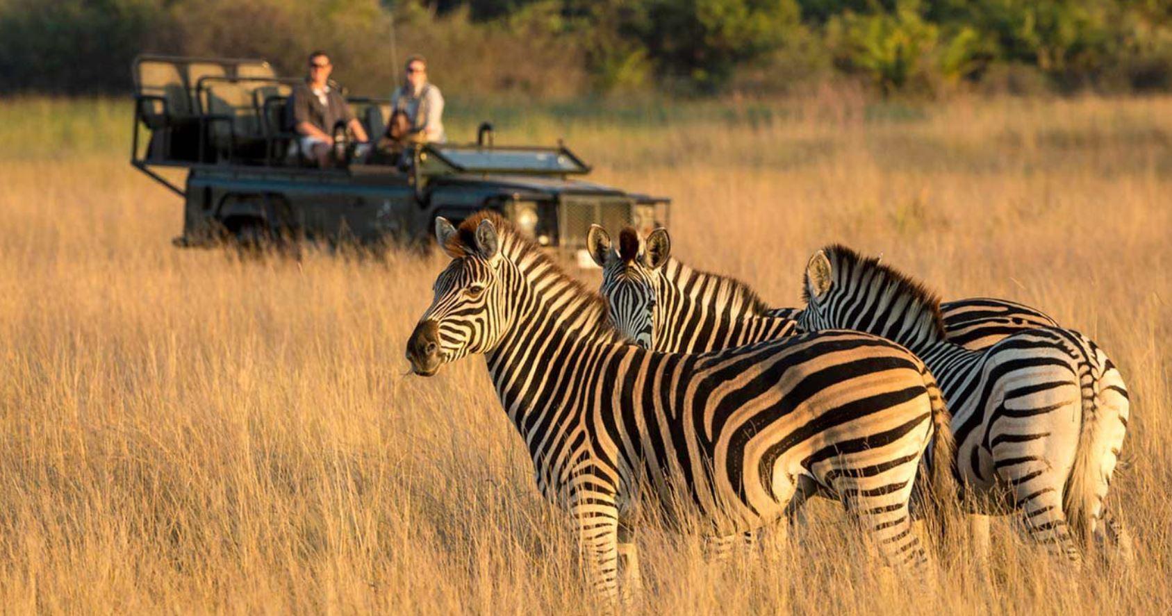1/2 Day Tala Game Reserve & Natal Park Tour From Durban – Tala Collection Game Reserve, South Africa