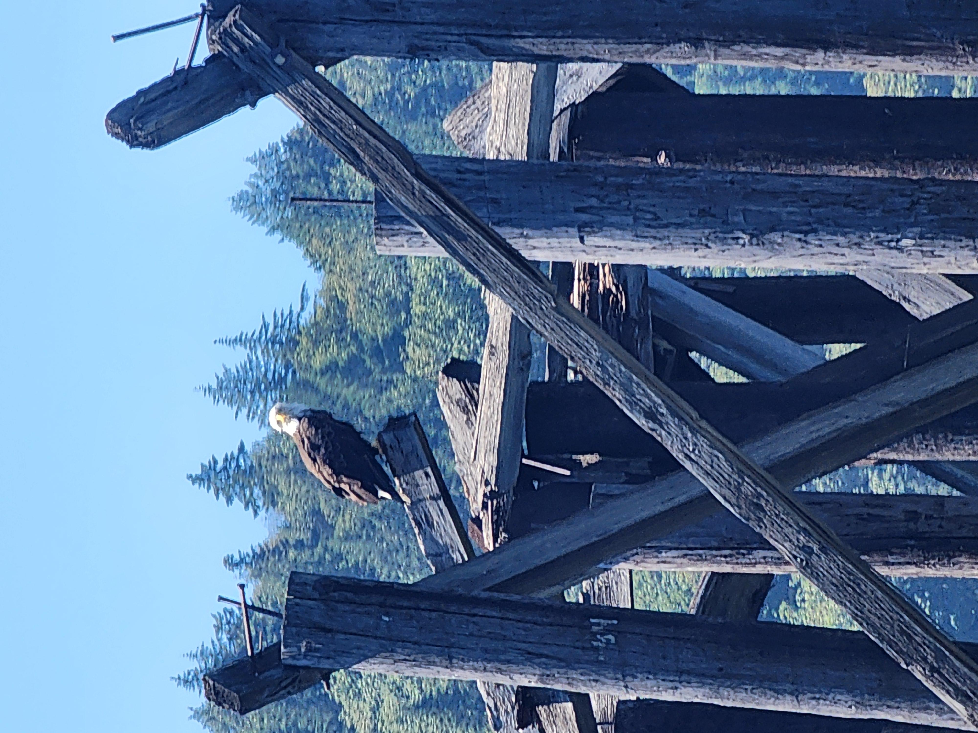 2-Hour Nature River Boat Tour on the Willamette River – Willamette River, Oregon