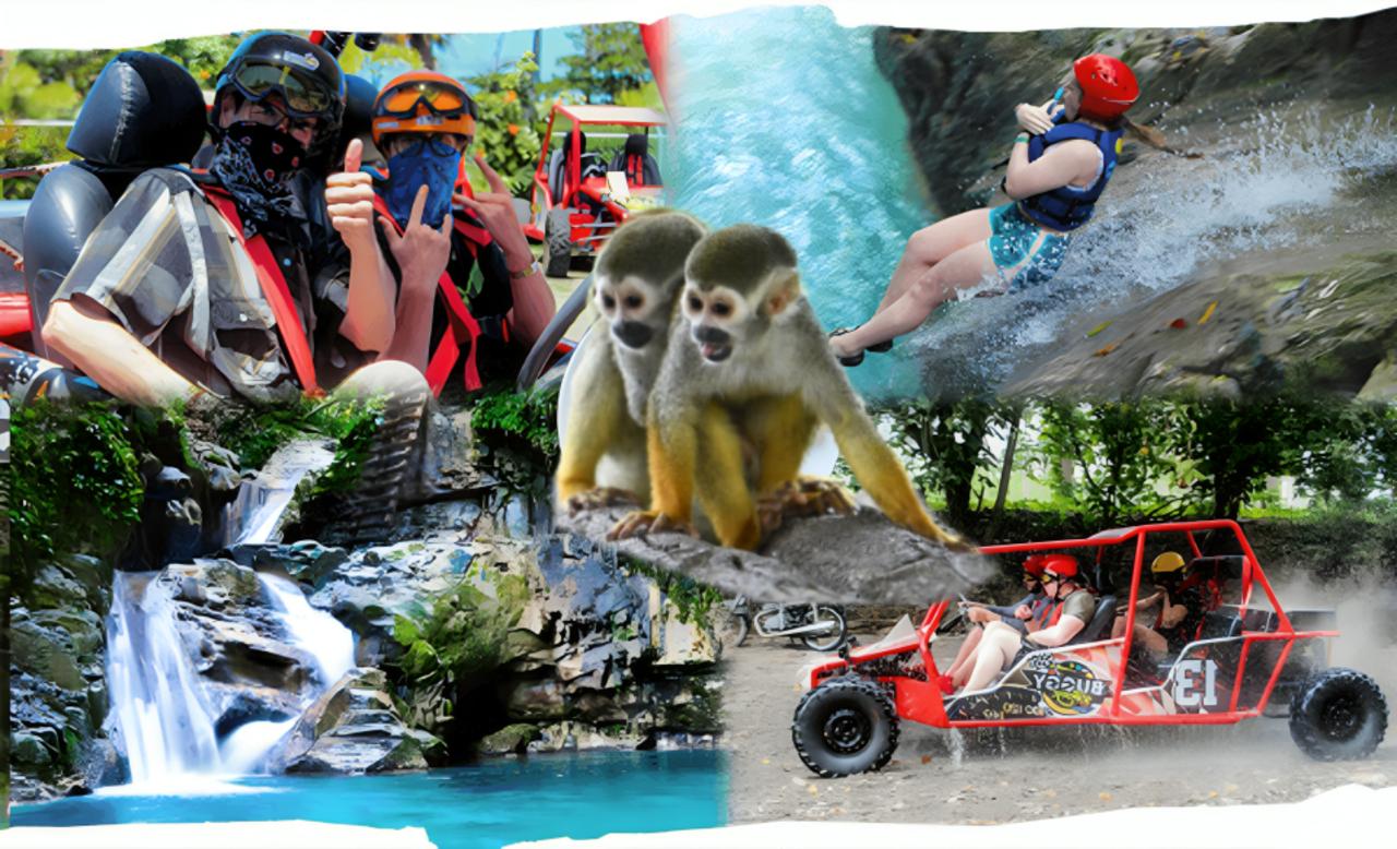 3×1: Monkeyland Damajagua Falls & Buggy Tour Puerto plata – Puerto Plata, Dominican Republic
