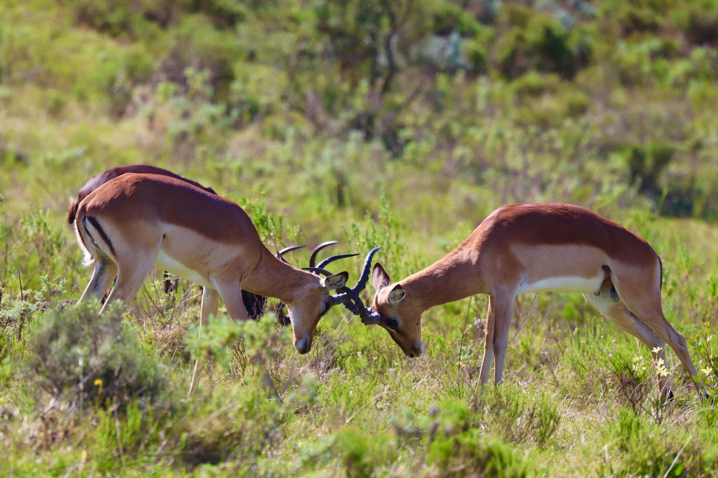 4-Day Garden Route Experience – Riversdale, South Africa