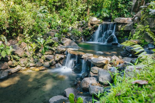 A day of adventure: Arenal 1968 and springs – Arenal Volcano View and Lava Trails, Costa Rica