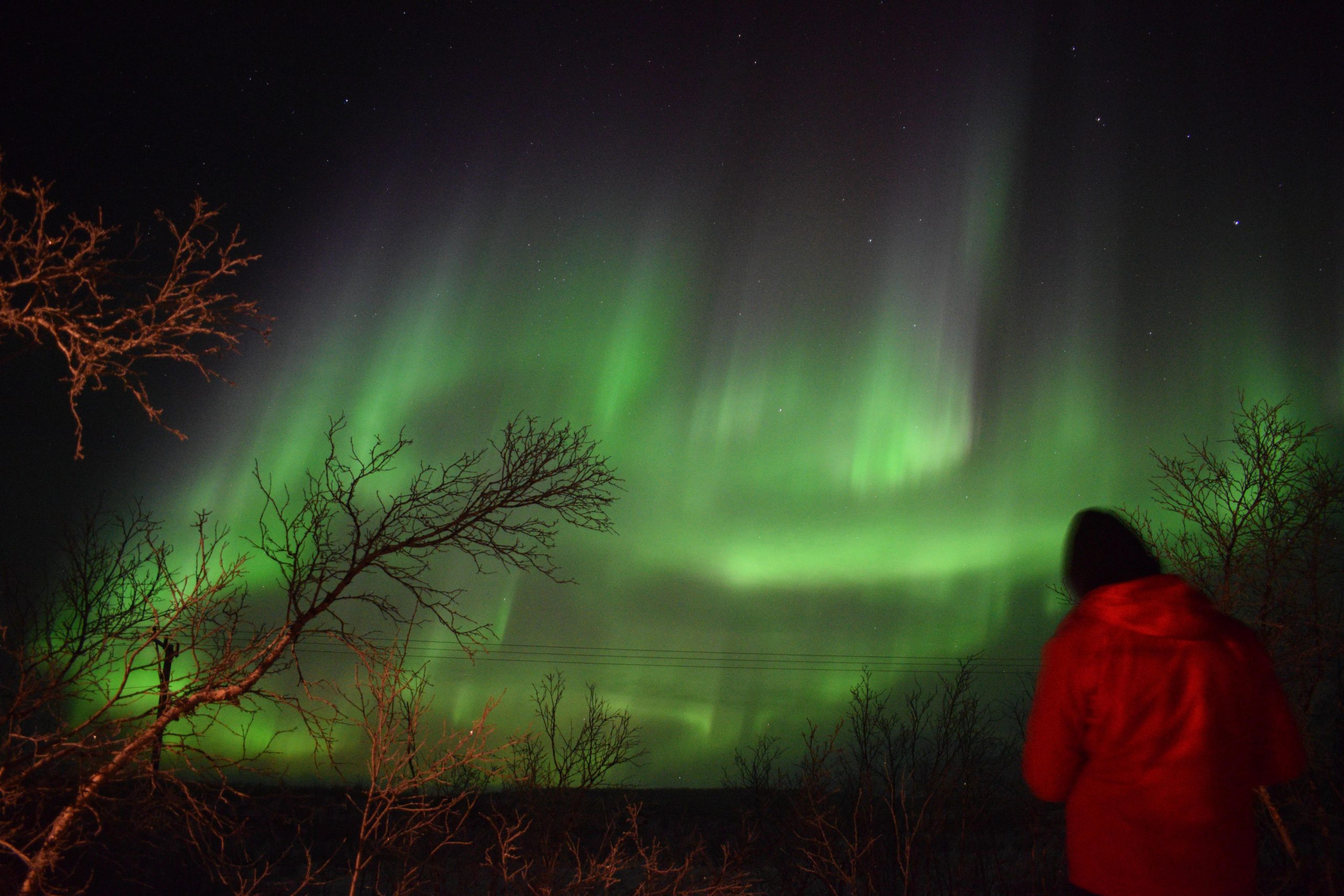 Abisko Arctic Ecology and Northern Lights Tour – Abisko, Sweden